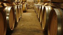 Private Full Day Wine Tour in Provence