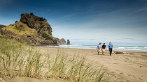 Auckland City and West Coast Full Day Tour