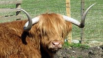 3-Day Isle of Skye and Highlands Tour from Glasgow
