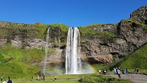 South Coast Private Day Tour - up to 9 passengers