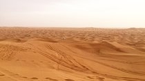 Dubai Morning Desert Small-Group Tour with Dune Bash