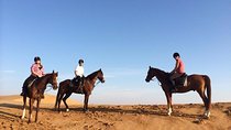 Desert Horse Riding In Dubai