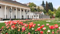 Heidelberg and Baden-Baden Tour from Frankfurt