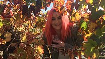 Swan Valley Winery Experience - Full Day Coach Tour