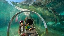 Zoo Miami Ticket with Optional Upgrade