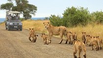 Kruger National Park Day Trip From Johannesburg