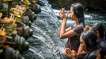 Full-day Private Cultural Tour of Ubud in Bali