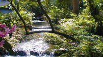 Private Tour From Ocho Rios To Konoko Falls And Garden and Shopping