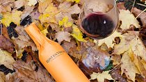 Stellenbosch Winelands Connoisseur Day Tour with Private Transfer