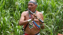 Full-Day Embera Village and Culture Tour from Panama City, Panama