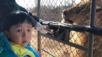Private Full-Day Beijing Wildlife Park Tour