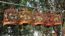 6-Hour Private Beijing Tour: Flower and Fish Market, Panjiayuan Antique Market and 798 Art Zone