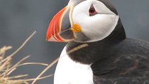 Private Day Trip To The Icelandic South Coast from Reykjavik