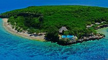 Oslob Whale Shark and Sumilon Day Tour