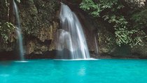 Moalboal Sardine Run and Kawasan Day Tour