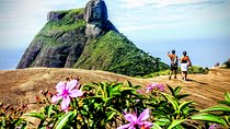 Tijuca Forest Half-Day Hike (Small Group or Private)