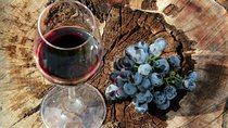 Napa Valley and Sonoma Valley Private Tour from San Francisco