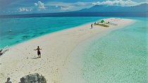 Oslob Whaleshark with Sumilon Island