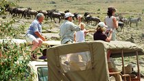 3 Days Masai Mara Camping