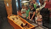 Skip the Line Vatican and Sistine Chapel Tour for Kids and Family
