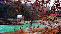 Chengdu Guided Tour of Taoist Mountain and Dujiangyan Irrigation