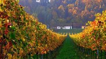 Winetaste in Villany, and visiting Pécs, on a private tour