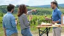 Exclusive Chablis & Burgundy Wine tour run by Sommelier + Lunch
