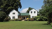 Day Tour To Kiambethu Tea Farm in Limuru