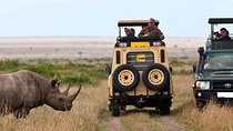 14-Days Kenya and Tanzania Camping Safari from Nairobi