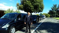 Transfer Rome to/from Forte dei Marmi optional Orbetello Stop