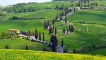 Pienza, Val d'Orcia, Montalcino wine and Pecorino cheese PRIVATE TOUR from SIENA