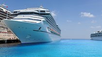 Private Malaga Transfer: Cruise Port to Central Malaga and Costa del Sol