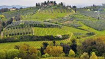 Private Tour Tastes of Tuscany: Pisa, Siena, San Gimignano and Chianti