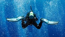 2 Tank Shore Dive at Sea Turtle Cove
