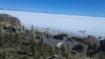 Private Cultural Tour: Uyuni Salt Flats includes grazing of llamas