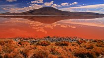 3 Days Uyuni salt flat and colored lagoons from Uyuni