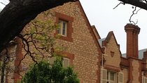 Adelaide Walking Tour: Hills, Squares and Parklands