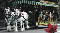 Stanley Park Horse-Drawn Tour
