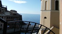 Cinque Terre Shore Excursions from Livorno Port