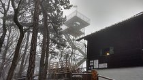 3-Hour Private Hiking Tour over Parapluie Mountain with a View of Vienna