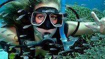 Bali Cheap Water Sport Package SCUBA DIVING,FLY FISH,JET SKY