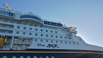 Private Transfer Rome OR Fco to Civitavecchia Port