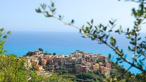 Cinque Terre Pesto Making Class, Boat Tour and Lunch