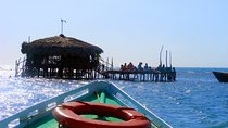 3-Day Sightseeing Tour of Treasure Beach and Negril departing from Montego Bay