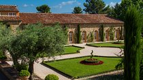 Private Day Trip: Wine Tasting Tour with Pinic Lunch From Nice