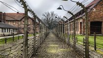 Small Group Auschwitz-Birkenau Guided Tour from Krakow ABTA