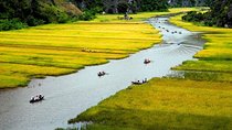 Hoa Lư Tam Coc & Mua Cave full day Including Buffets Lunch