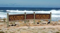 Cape Town Shore Excursion: Private Small Group Cape Peninsula 