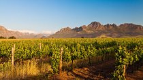 Stellenbosch Wine Tour half day from Cape Town