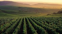 Private Full-Day Tour of Champagne Region
